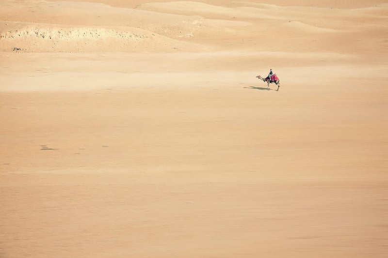 Desert Adventures