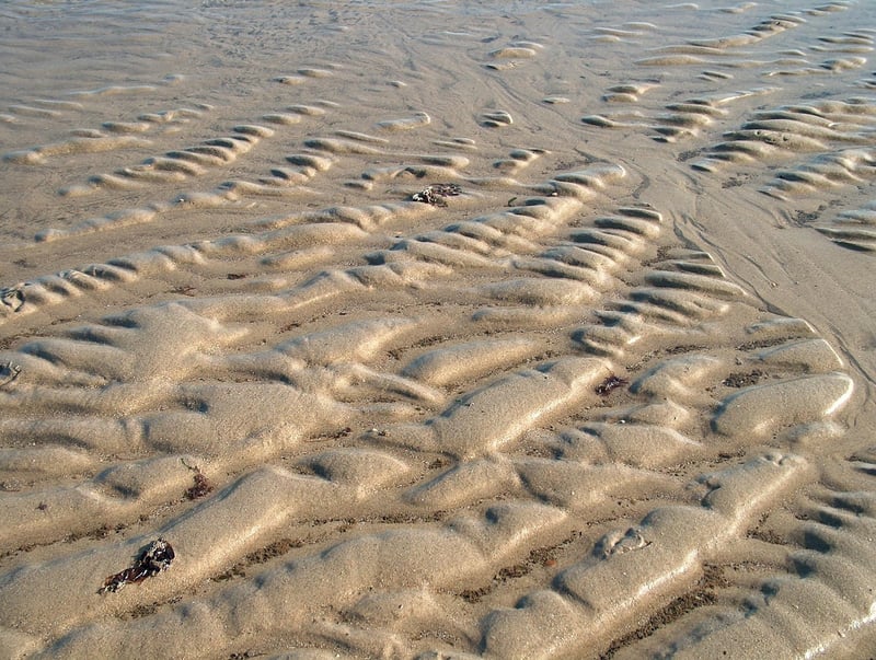 Desert Landscape